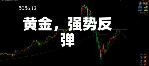 黄金，强势反弹-第2张图片