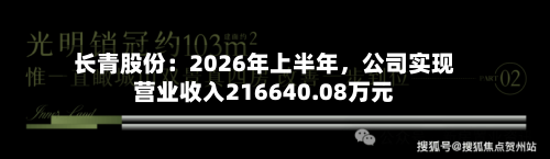 长青股份：2026年上半年，公司实现营业收入216640.08万元-第2张图片