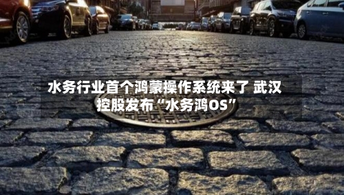 水务行业首个鸿蒙操作系统来了 武汉控股发布“水务鸿OS”-第2张图片