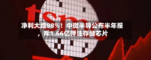 净利大增98%！中微半导公布半年报，斥1.66亿押注存储芯片-第2张图片