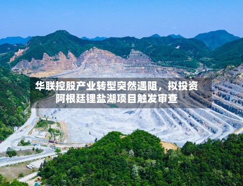 华联控股产业转型突然遇阻，拟投资阿根廷锂盐湖项目触发审查-第2张图片