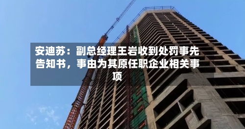安迪苏：副总经理王岩收到处罚事先告知书	，事由为其原任职企业相关事项-第2张图片