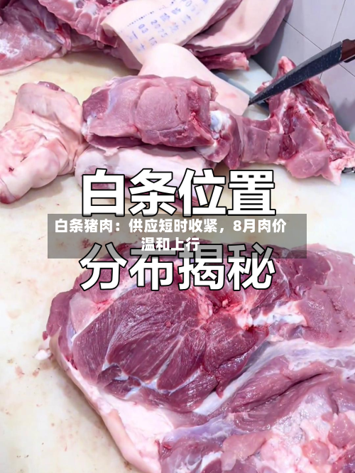 白条猪肉：供应短时收紧，8月肉价温和上行-第1张图片
