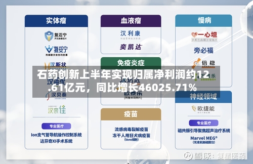 石药创新上半年实现归属净利润约12.61亿元，同比增长46025.71%-第2张图片