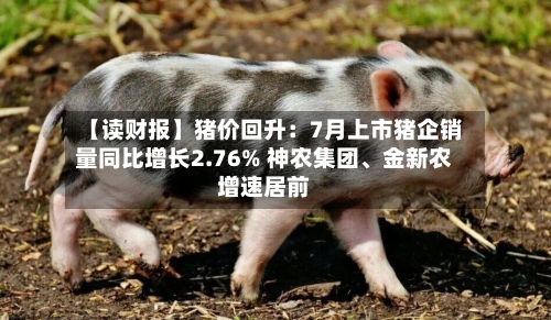 【读财报】猪价回升：7月上市猪企销量同比增长2.76% 神农集团	、金新农增速居前-第2张图片