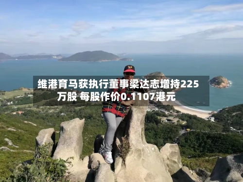 维港育马获执行董事梁达志增持225万股 每股作价0.1107港元-第1张图片