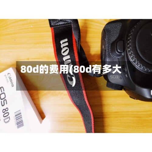 80d的费用(80d有多大)-第2张图片