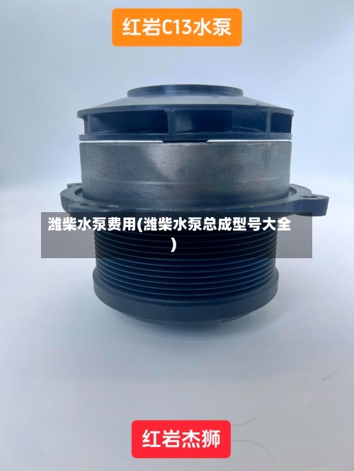 潍柴水泵费用(潍柴水泵总成型号大全)