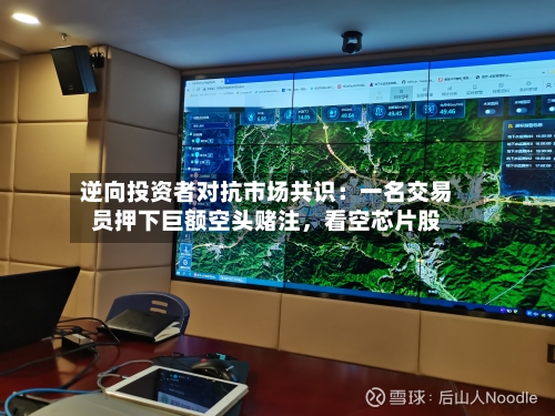 逆向投资者对抗市场共识：一名交易员押下巨额空头赌注，看空芯片股