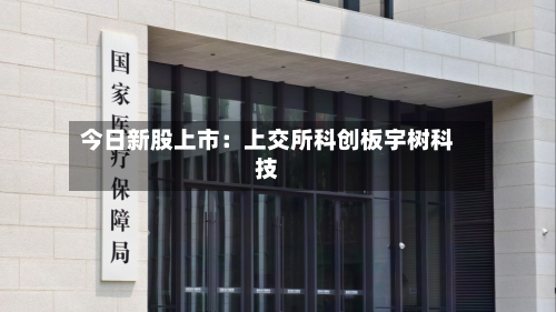 今日新股上市：上交所科创板宇树科技-第3张图片