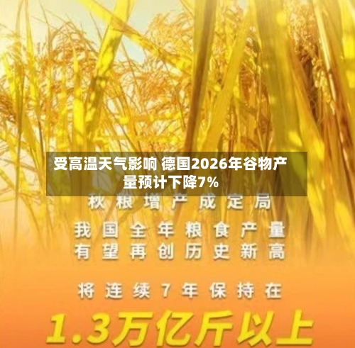 受高温天气影响 德国2026年谷物产量预计下降7%