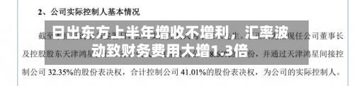 日出东方上半年增收不增利，汇率波动致财务费用大增1.3倍-第3张图片