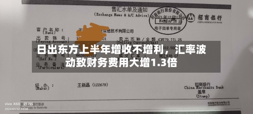 日出东方上半年增收不增利，汇率波动致财务费用大增1.3倍-第2张图片