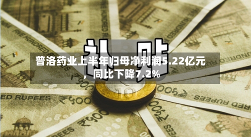 普洛药业上半年归母净利润5.22亿元，同比下降7.2%-第3张图片