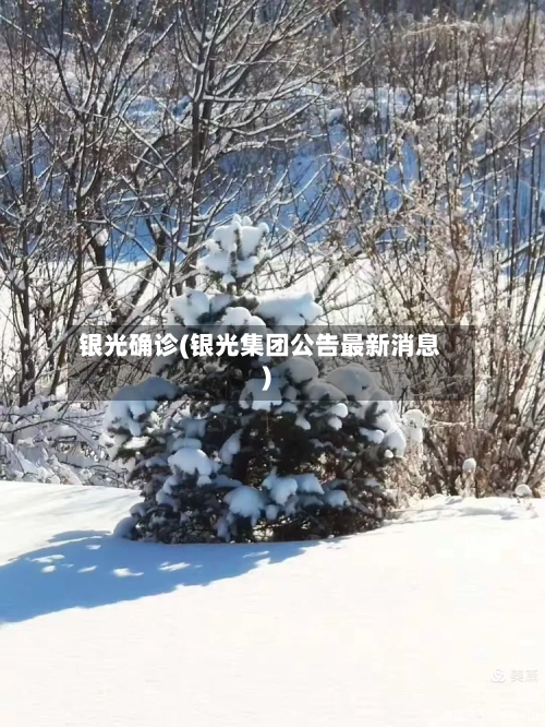 银光确诊(银光集团公告最新消息)-第2张图片