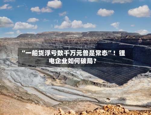 “一船货浮亏数千万元曾是常态”！锂电企业如何破局？-第2张图片