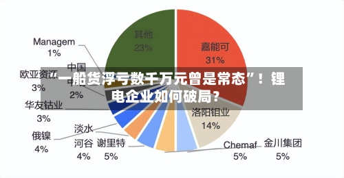 “一船货浮亏数千万元曾是常态”！锂电企业如何破局？-第3张图片