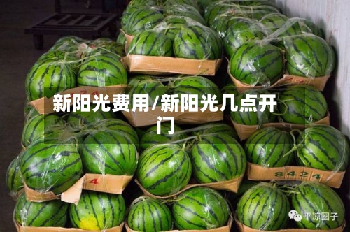 新阳光费用/新阳光几点开门