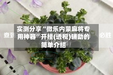 实测分享“微乐内蒙麻将专用神器	”开挂(透视)辅助的简单介绍-第2张图片