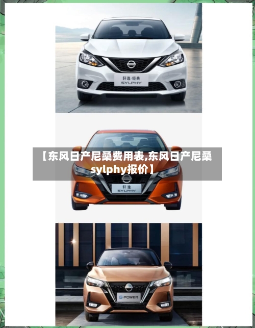 【东风日产尼桑费用表,东风日产尼桑sylphy报价】-第2张图片