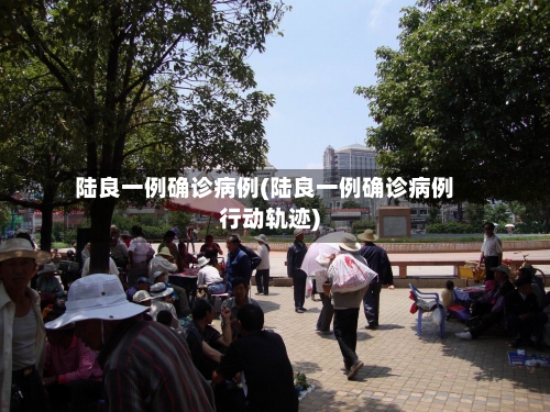 陆良一例确诊病例(陆良一例确诊病例行动轨迹)