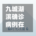 九城湖滨确诊病例在哪(九城湖滨小区地图)