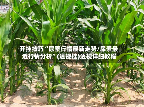 开挂技巧“尿素行情最新走势/尿素最近行情分析	”(透视挂)透视详细教程-第2张图片
