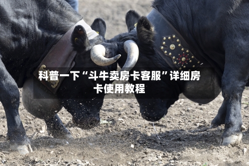 科普一下“斗牛卖房卡客服	”详细房卡使用教程-第2张图片