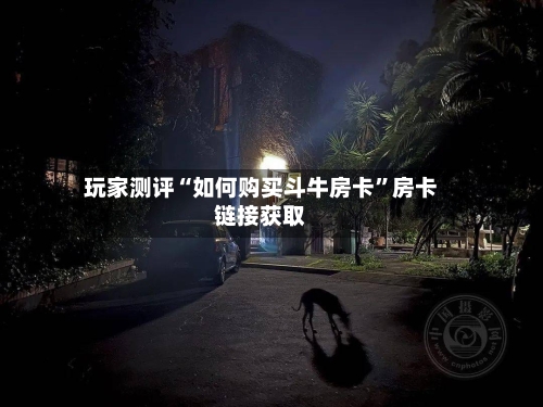 玩家测评“如何购买斗牛房卡	”房卡链接获取-第2张图片