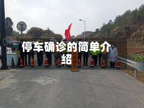 停车确诊的简单介绍