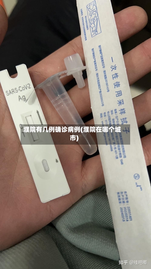 濮院有几例确诊病例(濮院在哪个城市)
