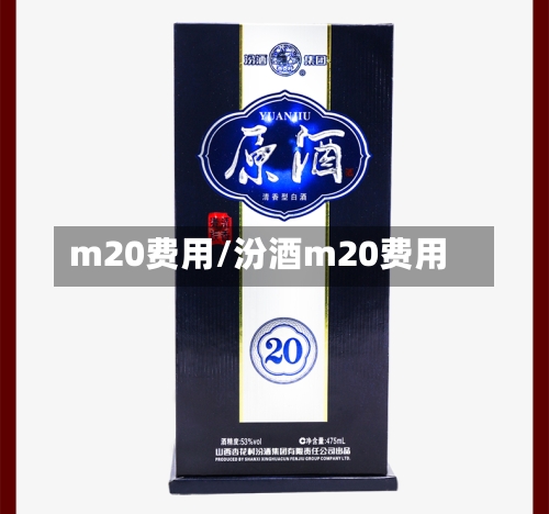 m20费用/汾酒m20费用-第2张图片
