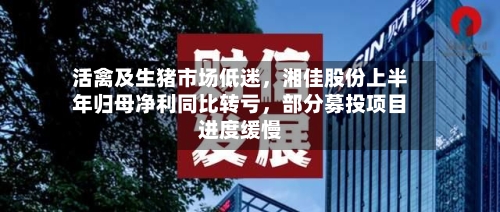 活禽及生猪市场低迷，湘佳股份上半年归母净利同比转亏	，部分募投项目进度缓慢-第2张图片