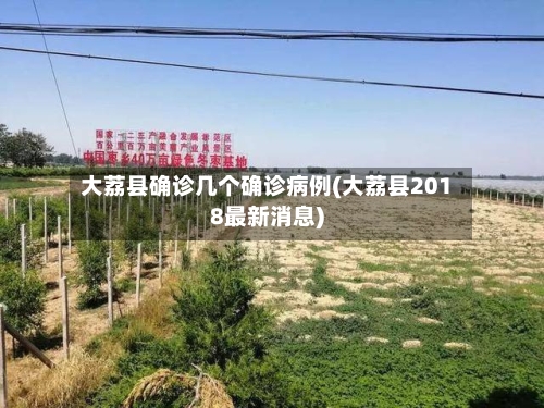 大荔县确诊几个确诊病例(大荔县2018最新消息)-第2张图片
