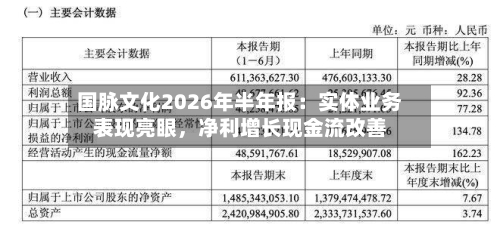 国脉文化2026年半年报：实体业务表现亮眼	，净利增长现金流改善-第3张图片