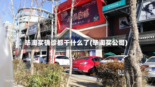 毕淘买确诊都干什么了(毕淘买公司)