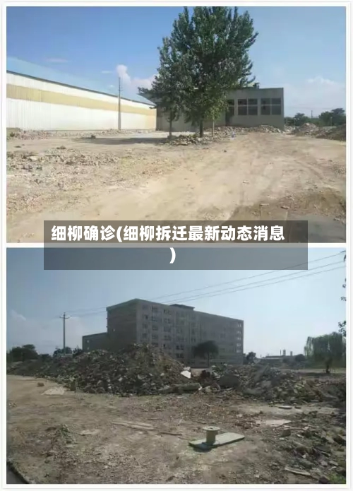 细柳确诊(细柳拆迁最新动态消息)-第2张图片