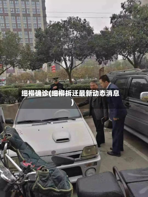 细柳确诊(细柳拆迁最新动态消息)