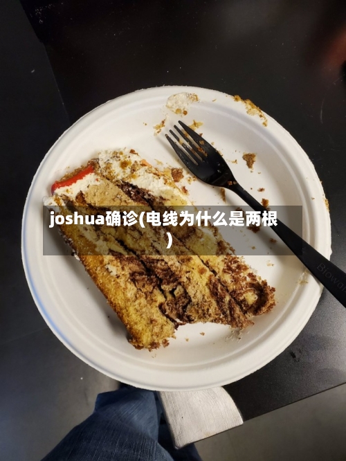 joshua确诊(电线为什么是两根)