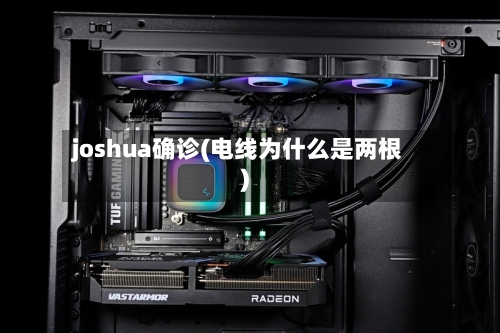 joshua确诊(电线为什么是两根)-第2张图片