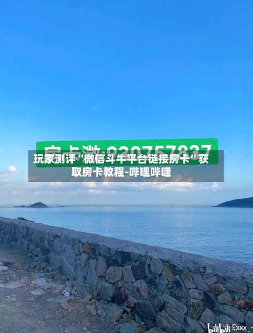 玩家测评“微信斗牛平台链接房卡	”获取房卡教程-哔哩哔哩-第3张图片