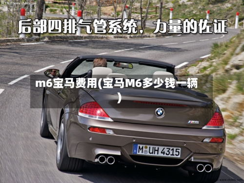 m6宝马费用(宝马M6多少钱一辆)