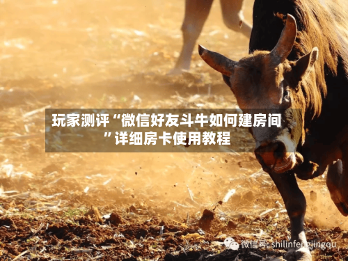 玩家测评“微信好友斗牛如何建房间”详细房卡使用教程-第3张图片