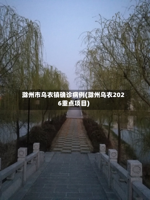 滁州市乌衣镇确诊病例(滁州乌衣2026重点项目)
