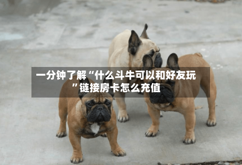 一分钟了解“什么斗牛可以和好友玩”链接房卡怎么充值-第2张图片