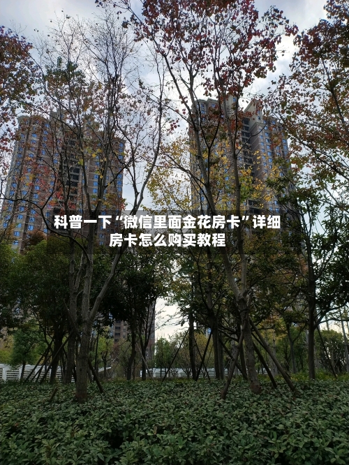 科普一下“微信里面金花房卡	”详细房卡怎么购买教程-第3张图片