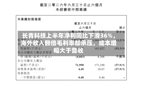长青科技上半年净利同比下滑36%，海外收入翻倍毛利率却承压，成本增幅大于营收-第3张图片