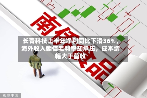 长青科技上半年净利同比下滑36%，海外收入翻倍毛利率却承压，成本增幅大于营收