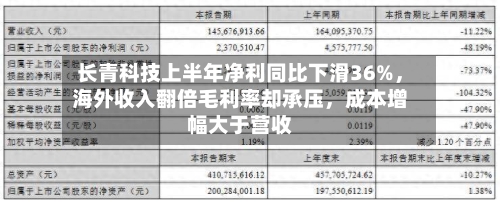 长青科技上半年净利同比下滑36%，海外收入翻倍毛利率却承压，成本增幅大于营收-第2张图片