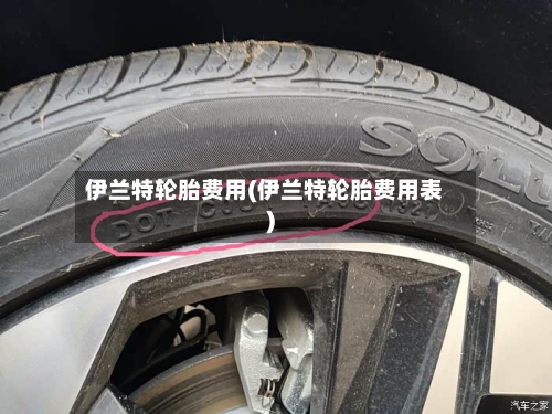 伊兰特轮胎费用(伊兰特轮胎费用表)